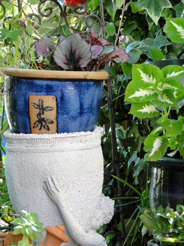 x DSC07221