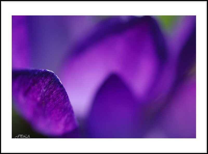 14 03 08 14 02 26 105macro 9056 c