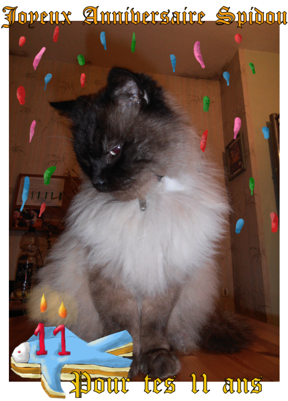 anniversairespidou2
