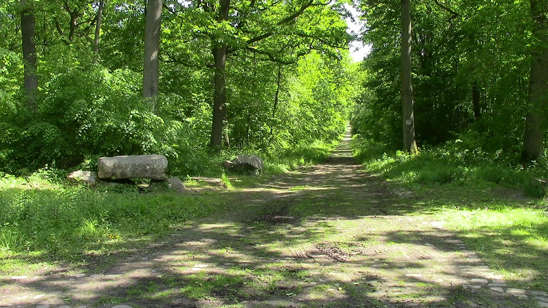 Rencontre foret de l'isle adam