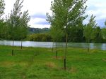 berges_marne_chateau