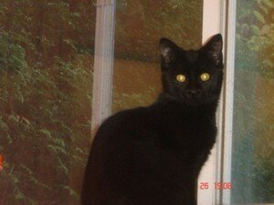 salem4mois