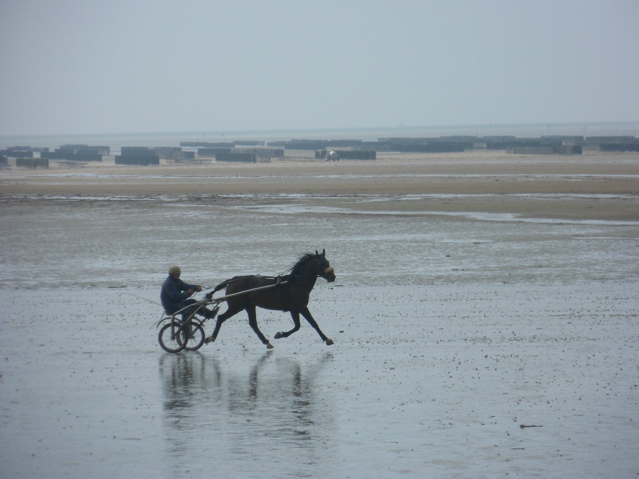 rencontre celibataire basse normandie tay rencontre celibataire basse normandie tay