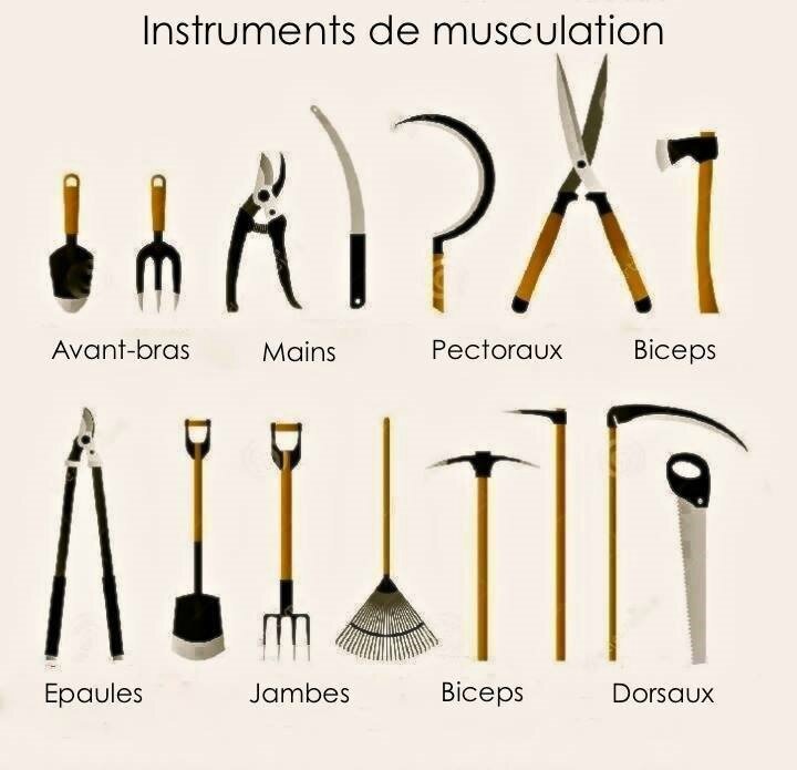musculation