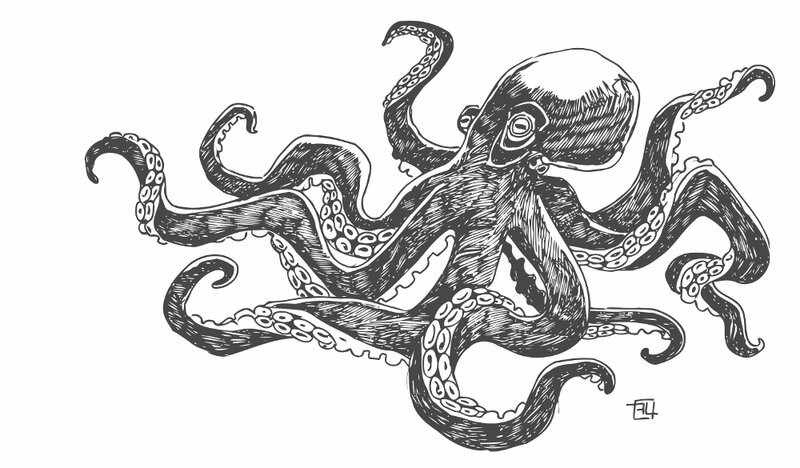 octopus-web