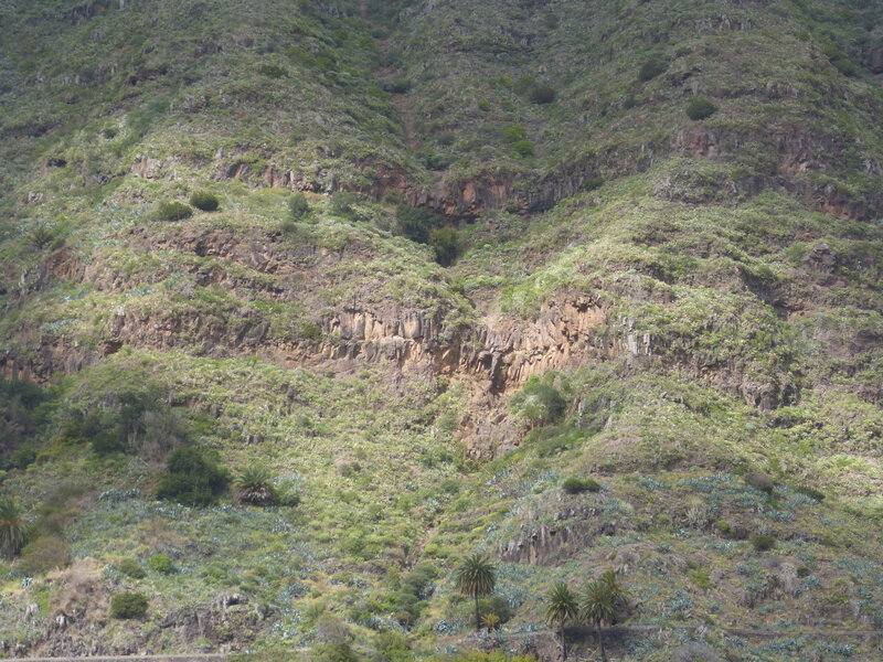 P1040667