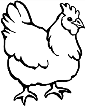 poule à colorier poule à colorier