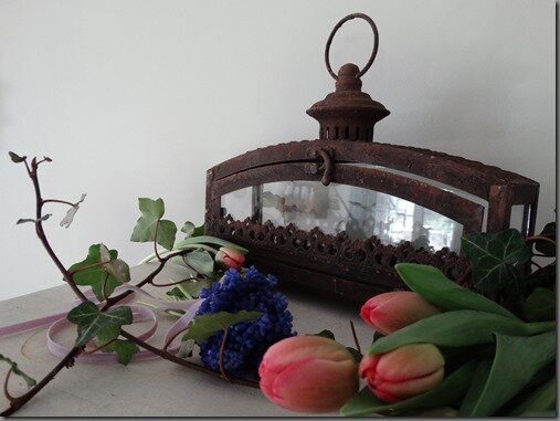 DSC00435 DSC00435