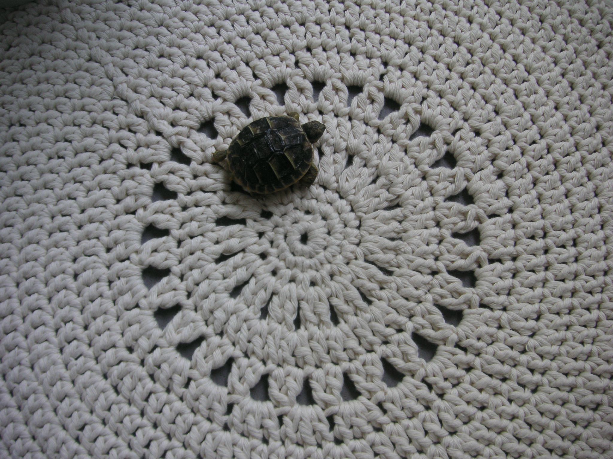 comment tricoter un tapis rond