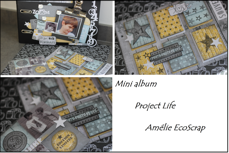 visuel projet samedi 7 nov 2015 mini album project life