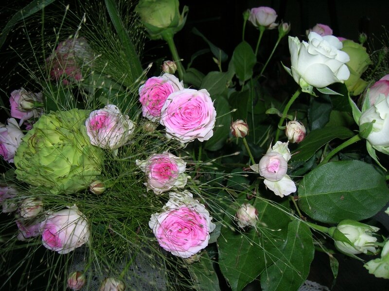 DSCN6306