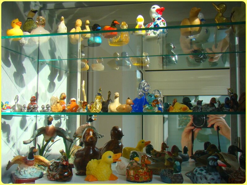 canards1