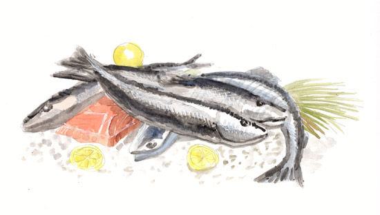 poissons