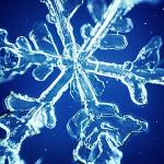 Flocon-de-neige