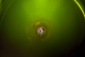 _DSC7722