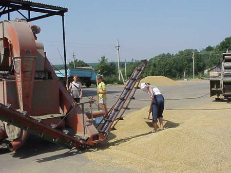 MVC_039S