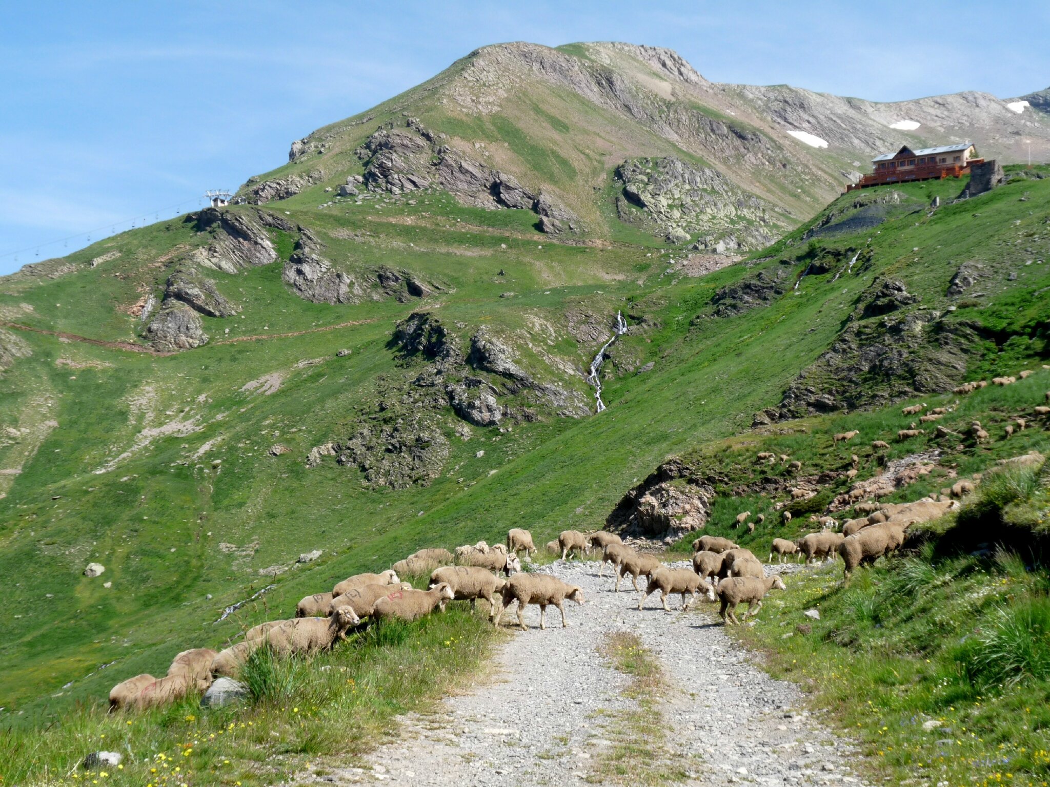 Rencontre alpes maritimes