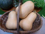 courges_butternut__5_