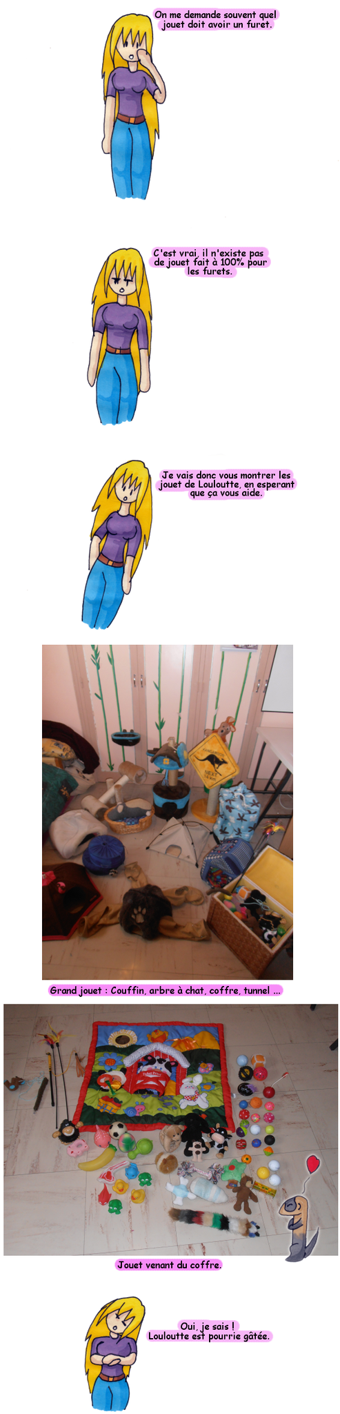 furetjouet2
