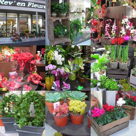 REV_EN_FLEURS