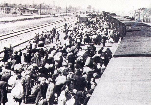 Arrivée des Hongrois réfugiés en France à Auschwitz