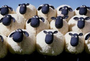 moutons1