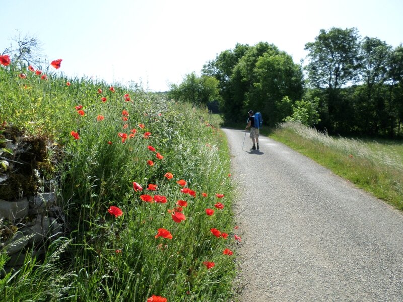 20140630 JURA ALAIN 175