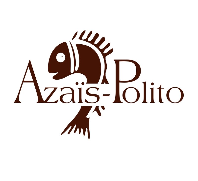 LOGO AZP