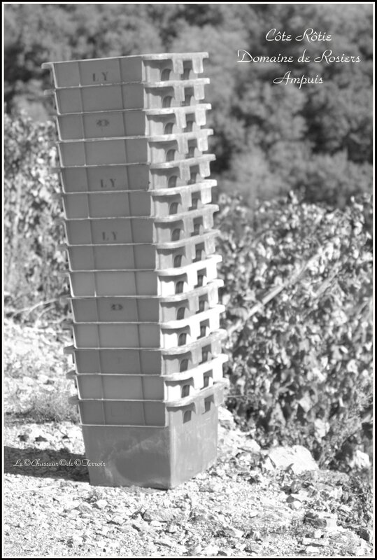 IMGP0108m
