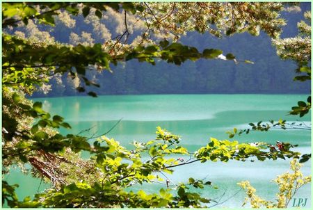 Lac_Pavin__63__DSC_0065__