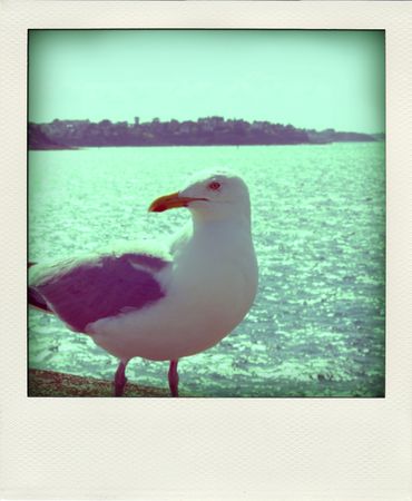 IMGP6219_pola