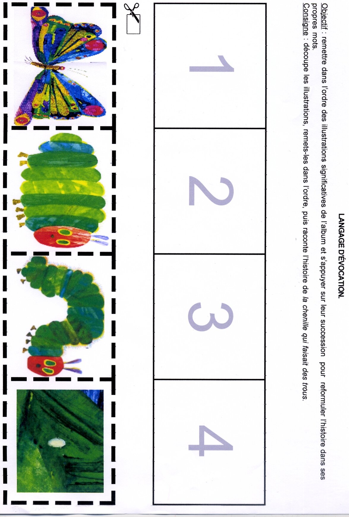The Very Hungry Caterpillar Stages Of Life Hands on Activity Ciclo De