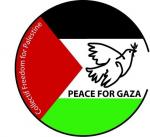 Peace for Gaza 2 collectif freedom 30 mm