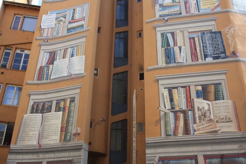 Lyon_582