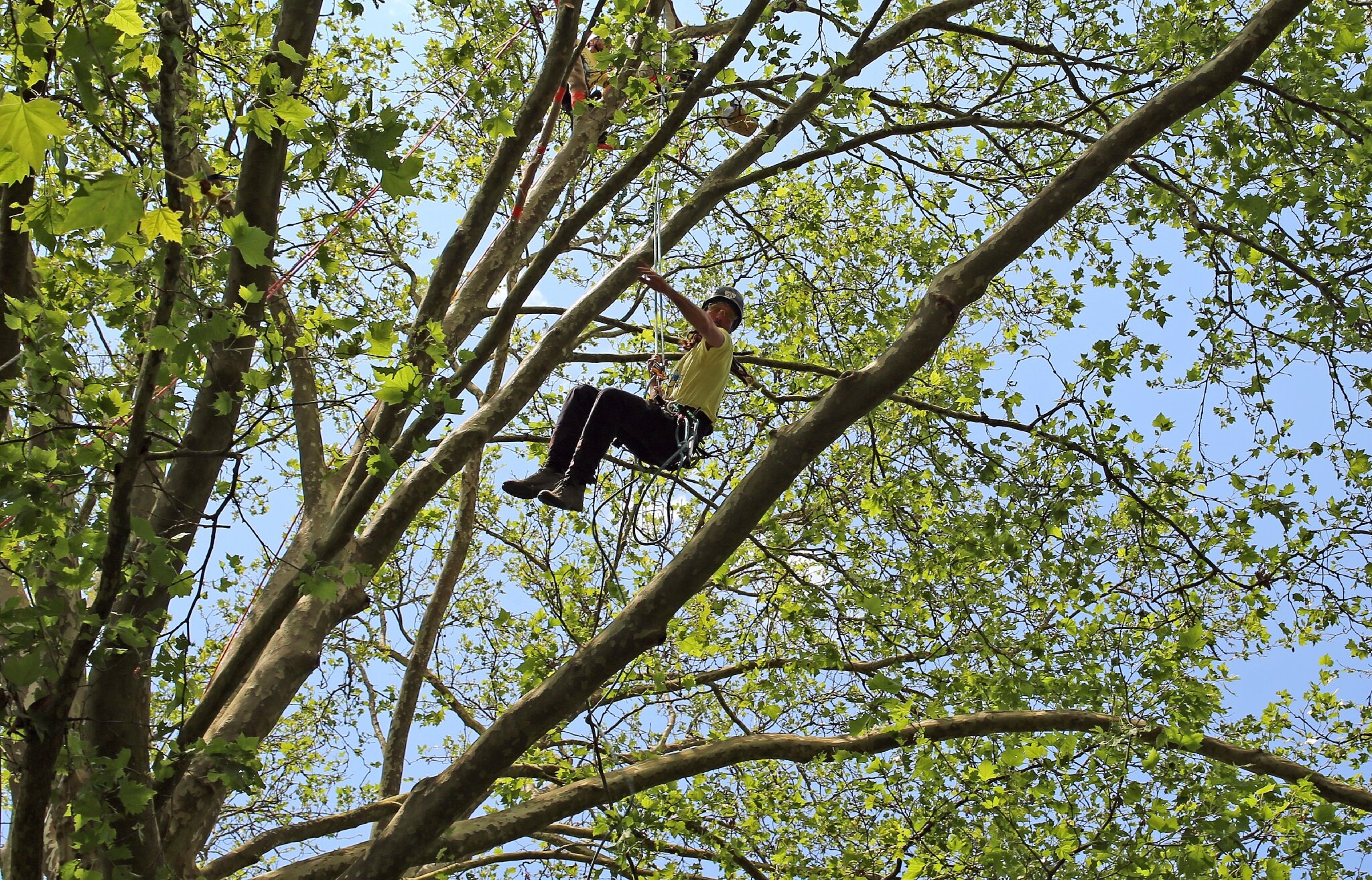 Rencontre nationale d'arboriculture 2016