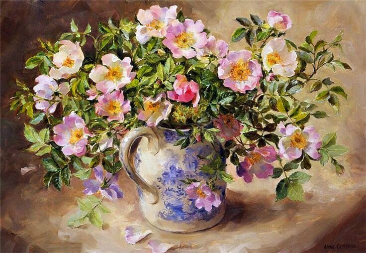 Anne Cotterill 2