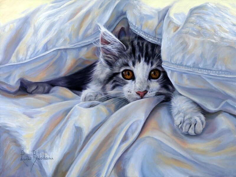 Dessins et aquarelles de chats, de chiens et autres!!