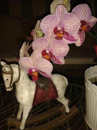 20140722_212219