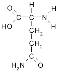 Résultat de recherche d'images pour "glutamine"