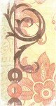 Ma_douce_Romane__oeillets_