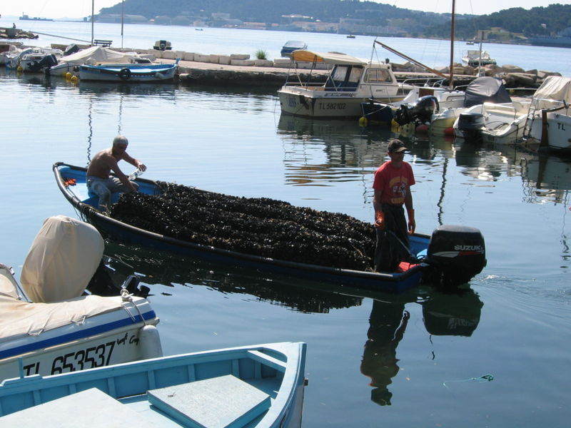 Rencontres du lazaret ajaccio