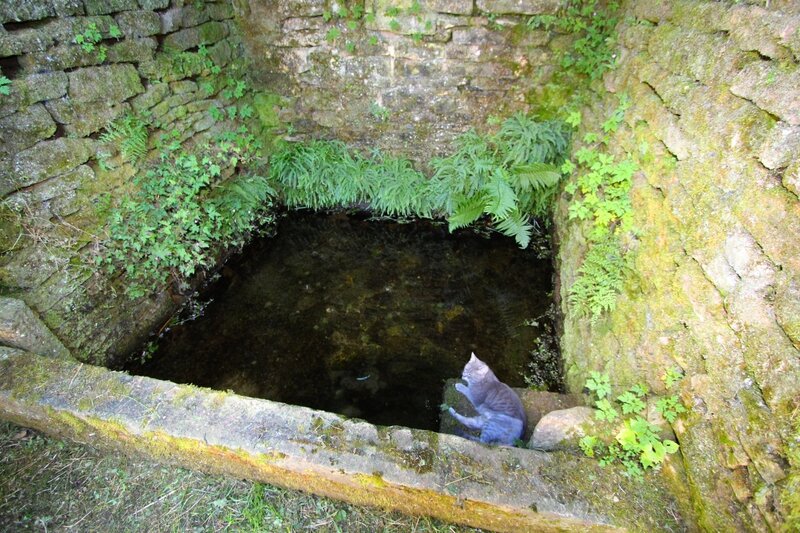 Oricourt (9)