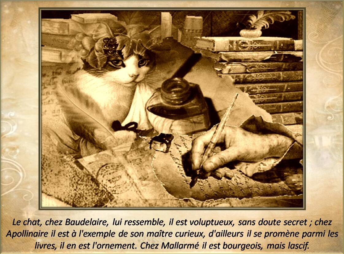 rencontre femme rome