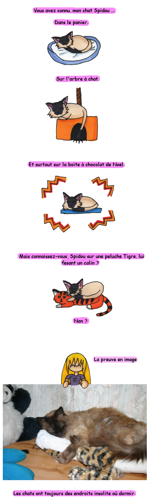 spidoupeluche