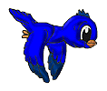 Oiseaux_100