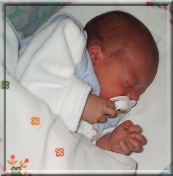 Noah_le_3oct04_12jours