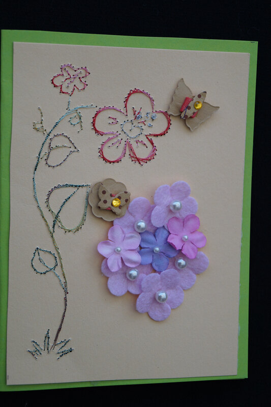 DSC00923 carte juillet1