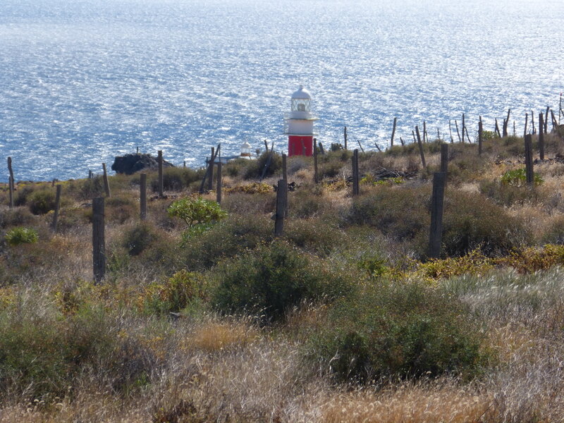 P1040491