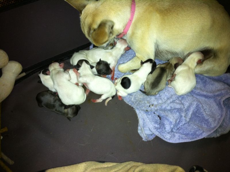 photo(7)