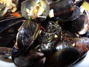moules